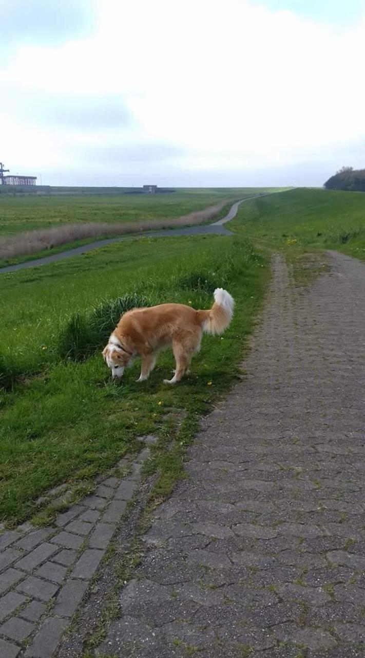 Fewo Kroker Bremerhaven Dış mekan fotoğraf